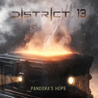 District 13 artist picture