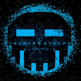 Dismantled artist picture