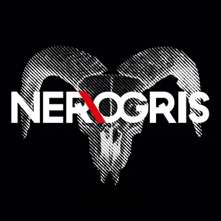 NER\OGRIS artist picture